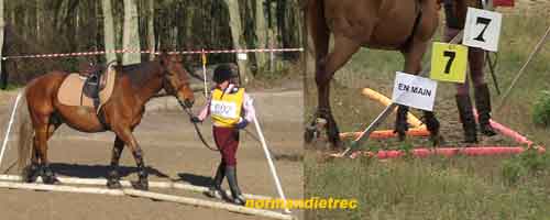 bordure