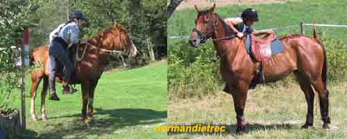 montoir