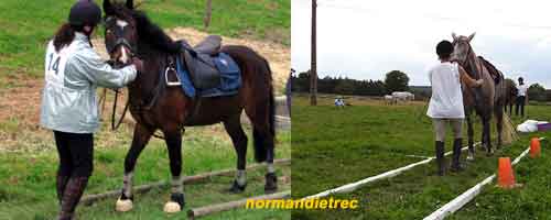 recule