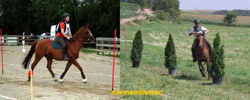 slalom